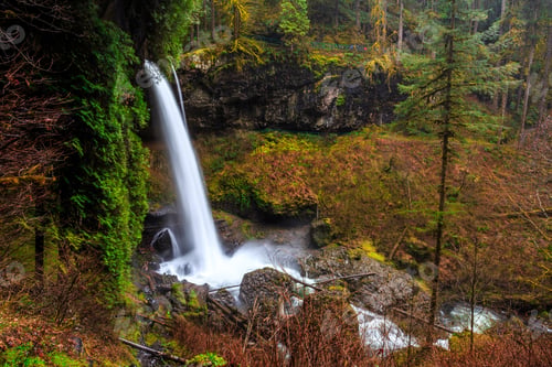 Preview: North Falls View At Silver Falls State Park, Oregon