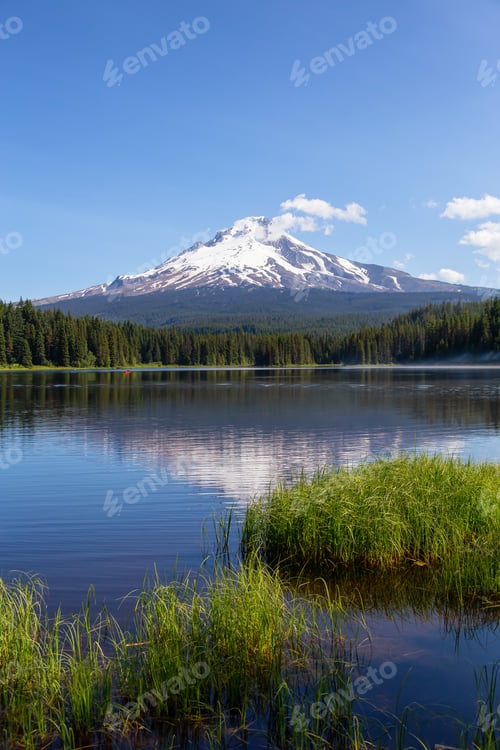 Preview: Landscape View of a Lake with Mt Hood in the background during a sunny summer day