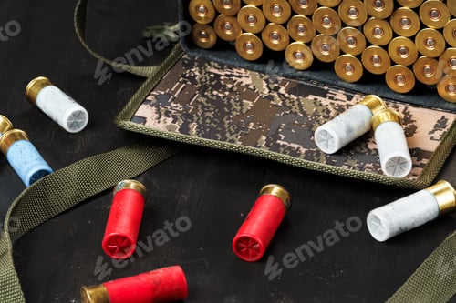 Preview: Set of cartridges for a hunting shotgun