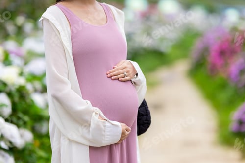 Preview: Pregnant woman hold with her tummy at Hydrangea flower garden