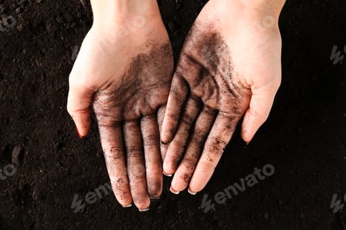 Preview: Woman with fresh soil over pile, top view