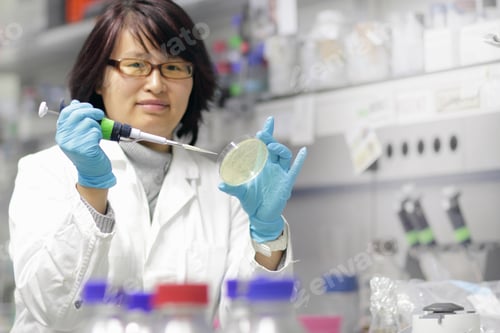 Preview: Scientist examining petri dish in lab