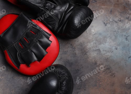 Preview: Sports Equipment for Boxing