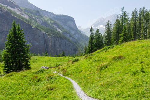 Preview: Panoramic view of green alpine meadows and mountains