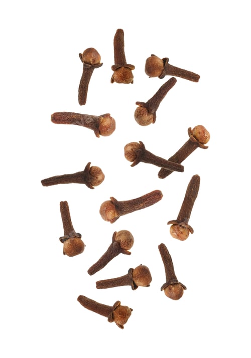 Preview: Clove buds in air on white background. Aromatic spice