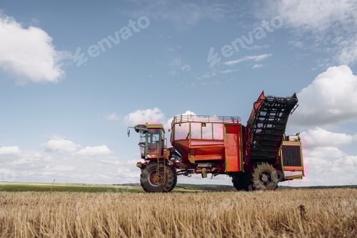 Preview: Beet harvester is on the agricultural field at daytime