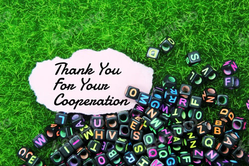 Preview: alphabet letters and torn paper with the words Thank you for your cooperation
