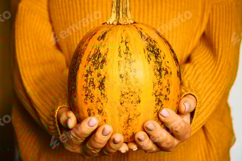 Preview: Pumpkin in the hands of woman with orange warm autumn cozy woolen sweater