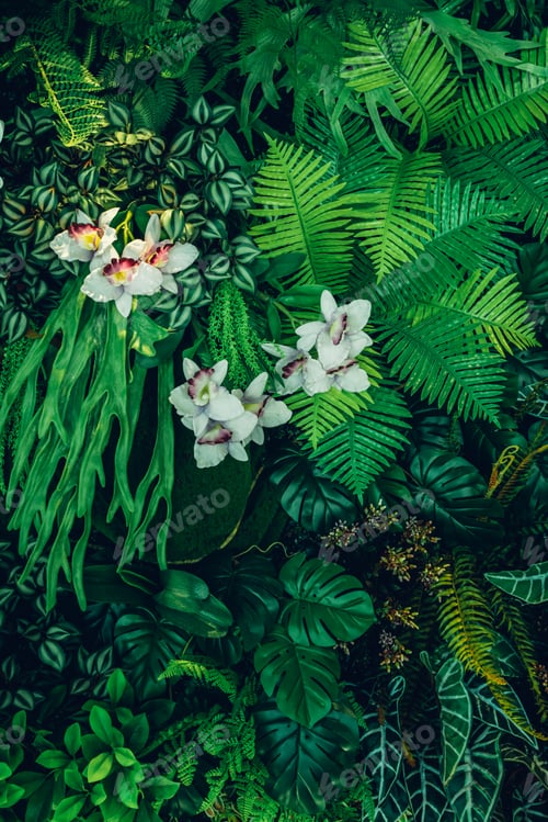 Preview: Close-up background of vibrant green leaves with rich textures, creating a bright and fresh natural