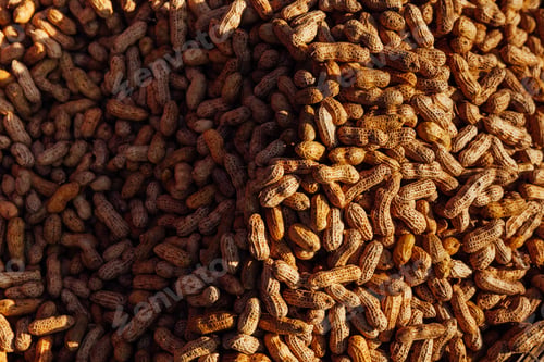 Preview: Basket with peanuts at the street market, Vietnam