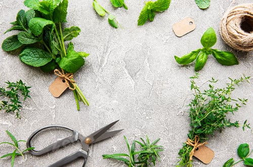 Preview: Kitchen herbs