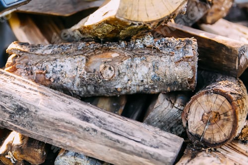 Preview: Pile of firewood for the winter period. Stack of firewood in the forest.