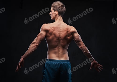 Preview: Muscular male. Back view.