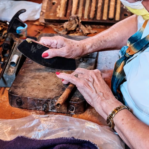 Preview: Hands of older woman making Cuban cigar from tobacco leaves.
