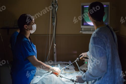 Preview: vets doing surgery in the clinic.