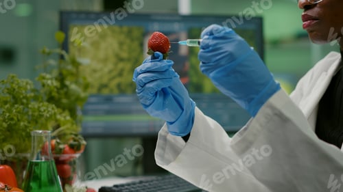 Preview: Closeup of biologist scientist injecting strawberry with dna liquid