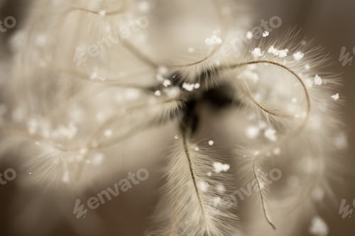 Preview: Macro world