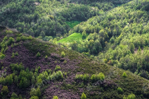 Preview: Spring in the mountains