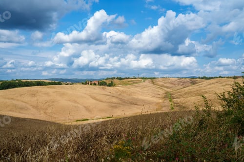 Preview: Rural landscape in Val d Orcia, Tuscany, at summer