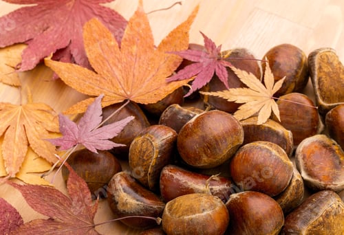 Preview: Chestnut and autumn maple