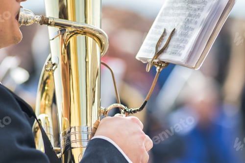 Preview: Details of hands playing tuba bass