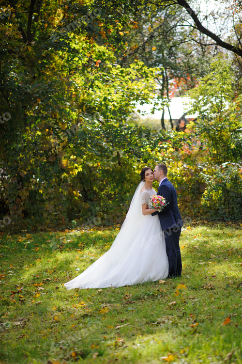 Preview: The bride and groom on the background of the autumn park.