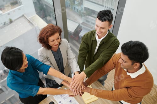 Preview: Multi-ethnic Business Team Stacking Hands