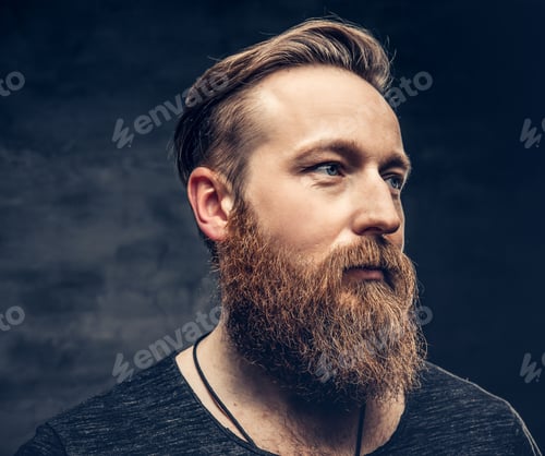 Preview: Portrait of redhead bearded male.