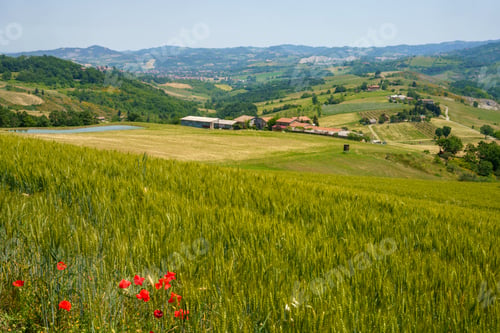 Preview: Rural landscape near Guiglia, Emilia-Romagna.