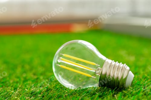 Preview: Energy efficient light bulb lying on grass