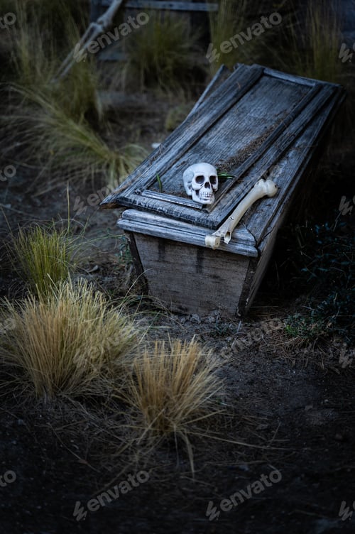 Preview: Vertical shot of bones and a skull on a wooden coffin