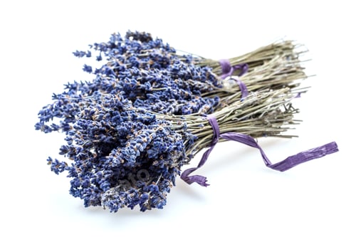 Preview: Bunch of lavender