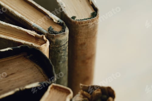 Preview: Books