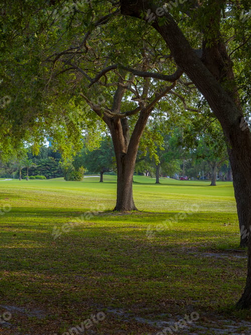 Preview: Scenic view of a lush park of Miami Springs Golf Course