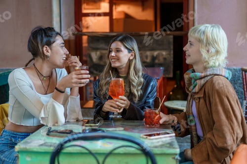 Preview: Diverse friends toasting with drinks at outdoor party - Celebration and social gathering