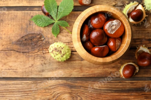 Preview: Horse chestnuts on wooden table, flat lay. Space for text