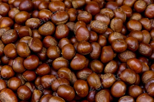 Preview: Chestnut roasting