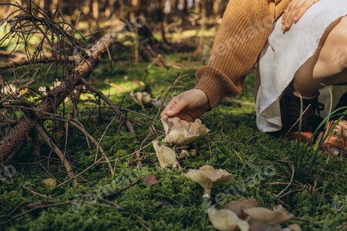 Preview: Female hand reaching for mushrooms on the ground covered in green moss. Mycelium packaging