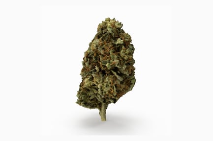 Preview: Dense Cannabis Flower Bud