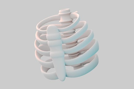 Preview: Simplified human ribcage anatomy