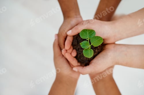 Preview: Teamwork is essential to the growth of any business