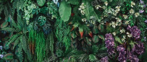 Preview: Close up group of background tropical green leaves texture and abstract background.