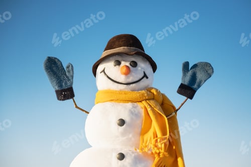 Preview: Funny snowman in brown hat