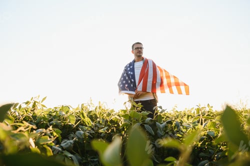 Preview: A young farmer stands with a USA flag in a soybean field.