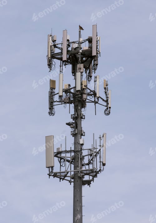 Preview: Red Tailed Hawk sits on the top of a Cell Phone Tower against the sky in New Bern, North Carolina