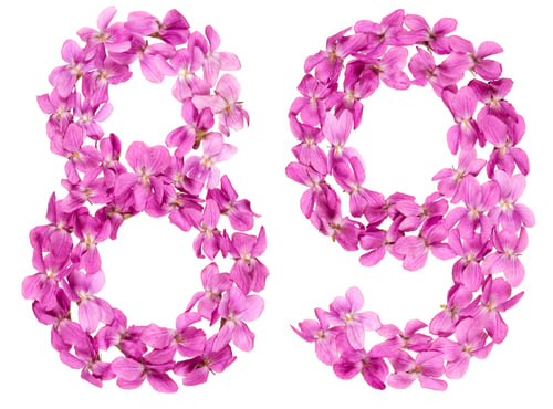 Preview: Arabic numeral 89, eighty nine, from flowers of viola, isolated on white background