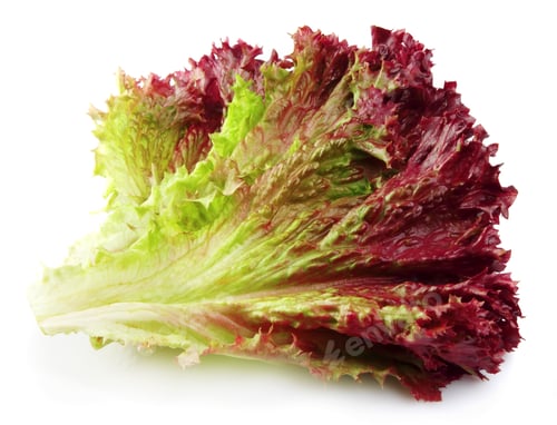 Preview: Lettuce salad