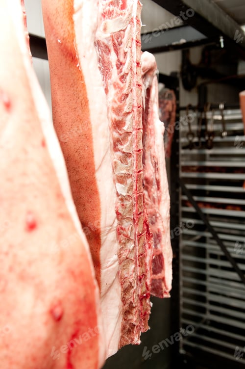 Preview: Peek at the meatpacking industry in the process