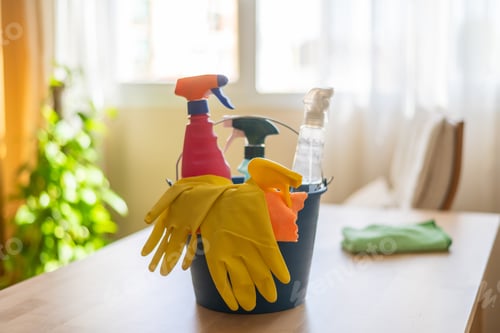 Preview: Professional sanitation service with spray bottle and detergent bucket