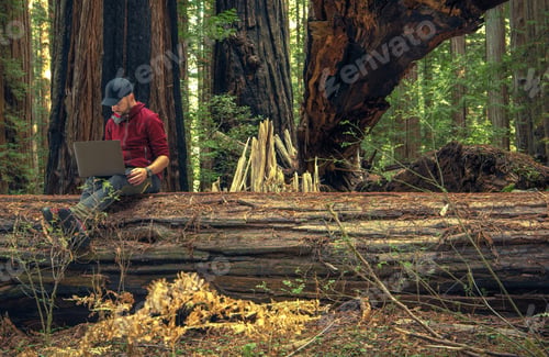 Preview: Men Remotely Working From Redwood Forest